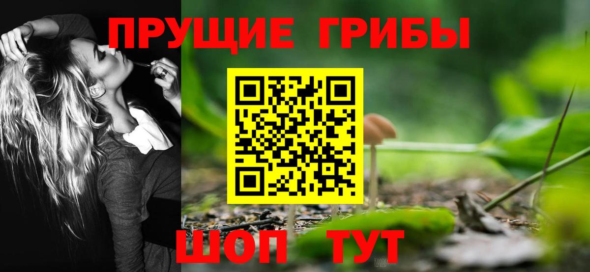 Псилоцибиновые грибы Cubensis Александров